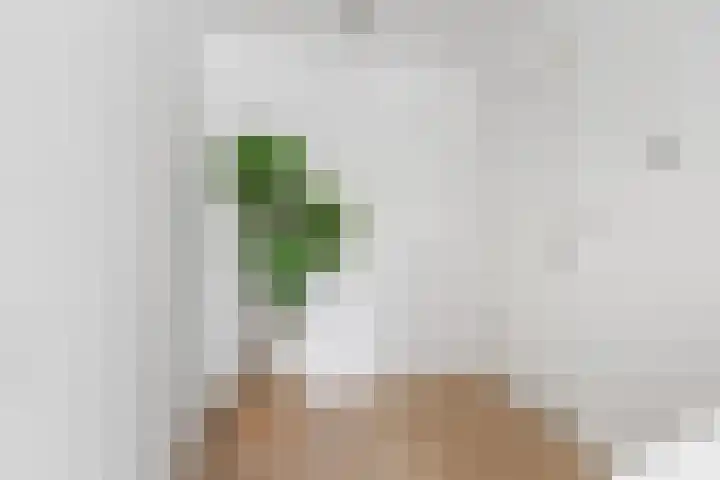 Gedempte Nieuwesloot 67 A Alkmaar thumbnail 5