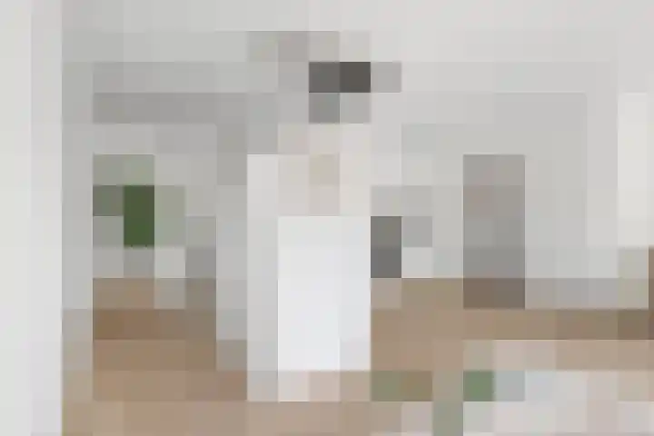 Gedempte Nieuwesloot 67 A Alkmaar thumbnail 6