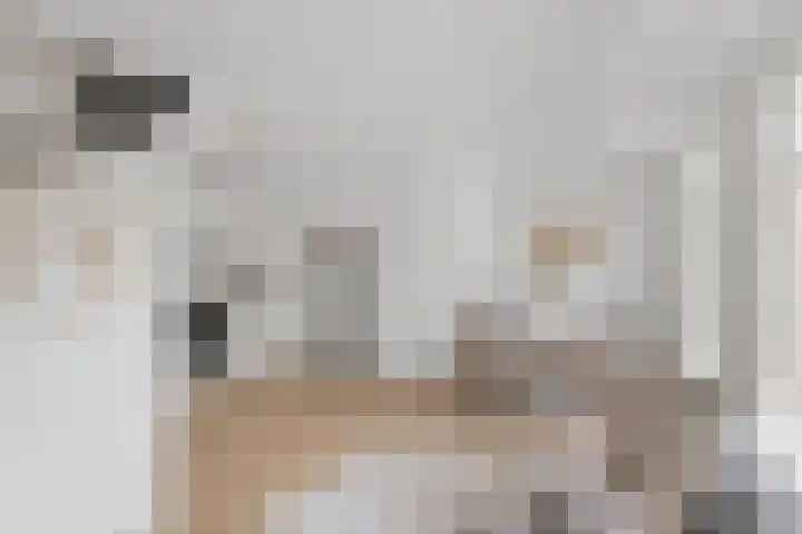 Gedempte Nieuwesloot 67 A Alkmaar thumbnail 7