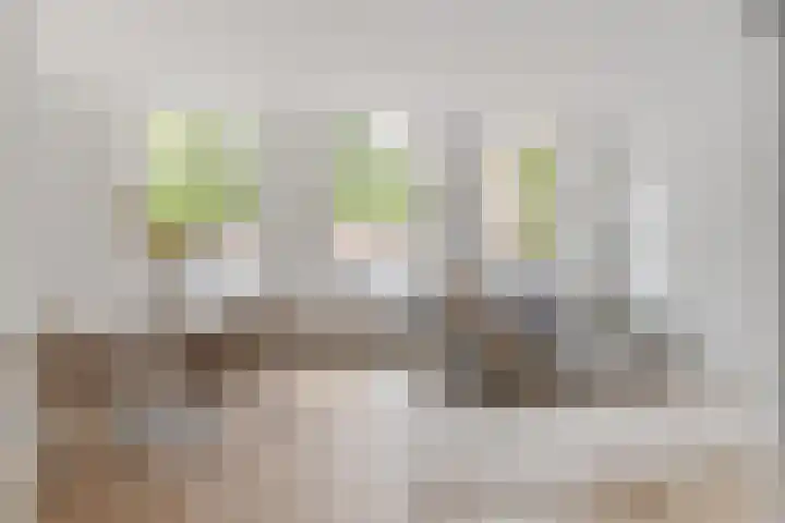 Gedempte Nieuwesloot 67 A Alkmaar thumbnail 9