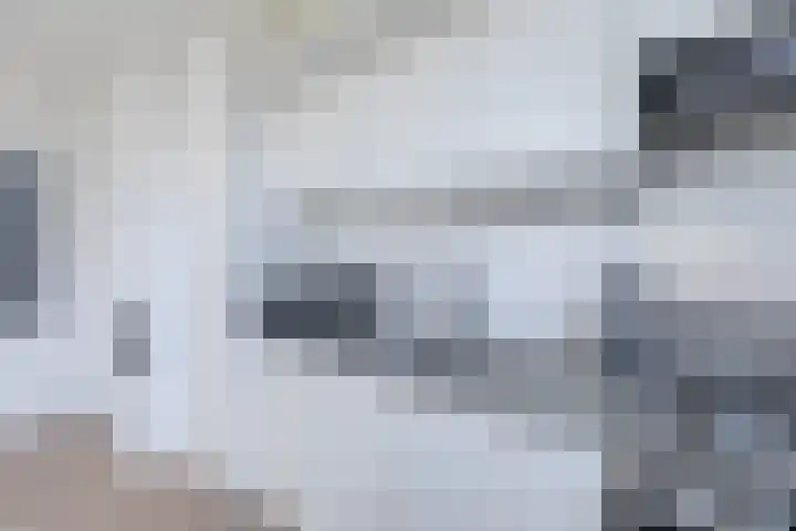 Gedempte Nieuwesloot 71 A 2 Alkmaar thumbnail 18