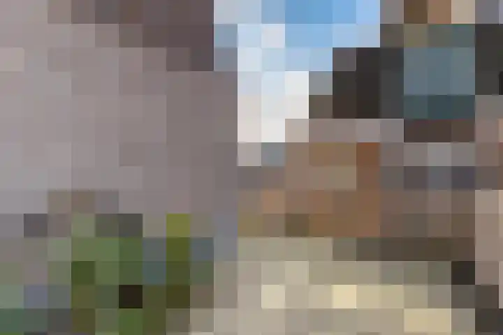 Gedempte Nieuwesloot 71 A 2 Alkmaar thumbnail 23