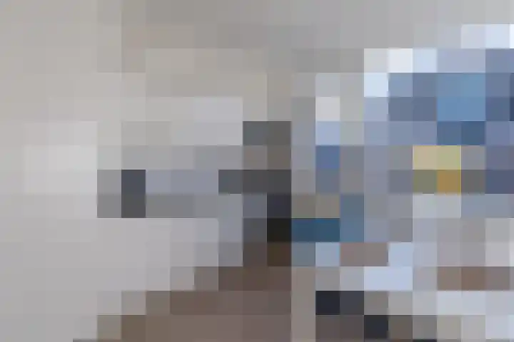 Gedempte Nieuwesloot 71 A 2 Alkmaar thumbnail 7