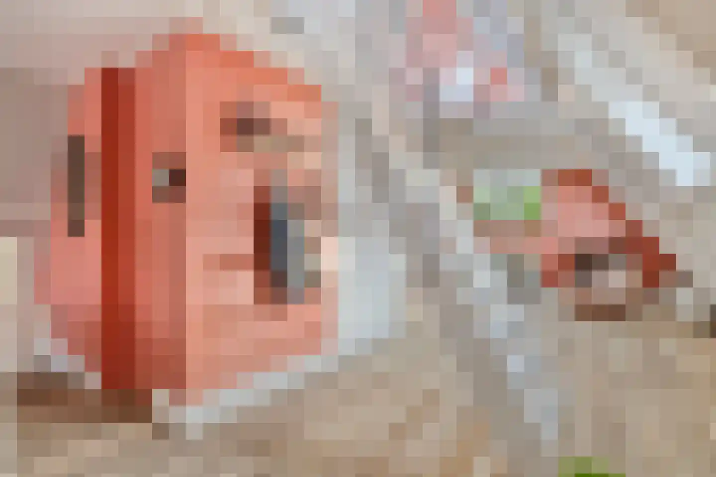 Gedempte Nieuwesloot 75 D Alkmaar thumbnail 10