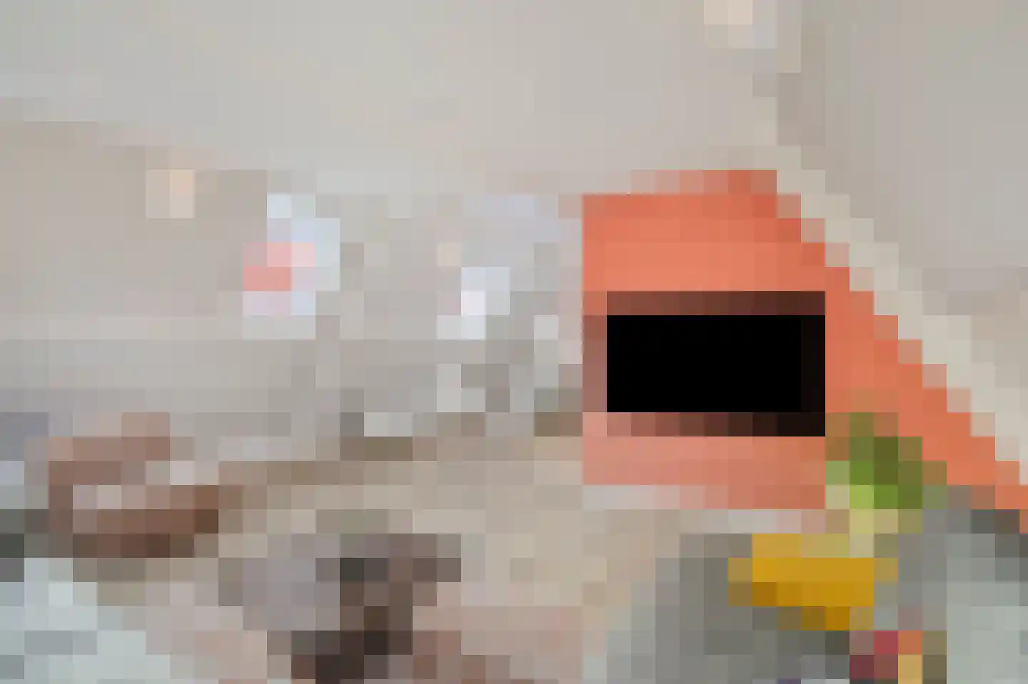 Gedempte Nieuwesloot 75 D Alkmaar thumbnail 12