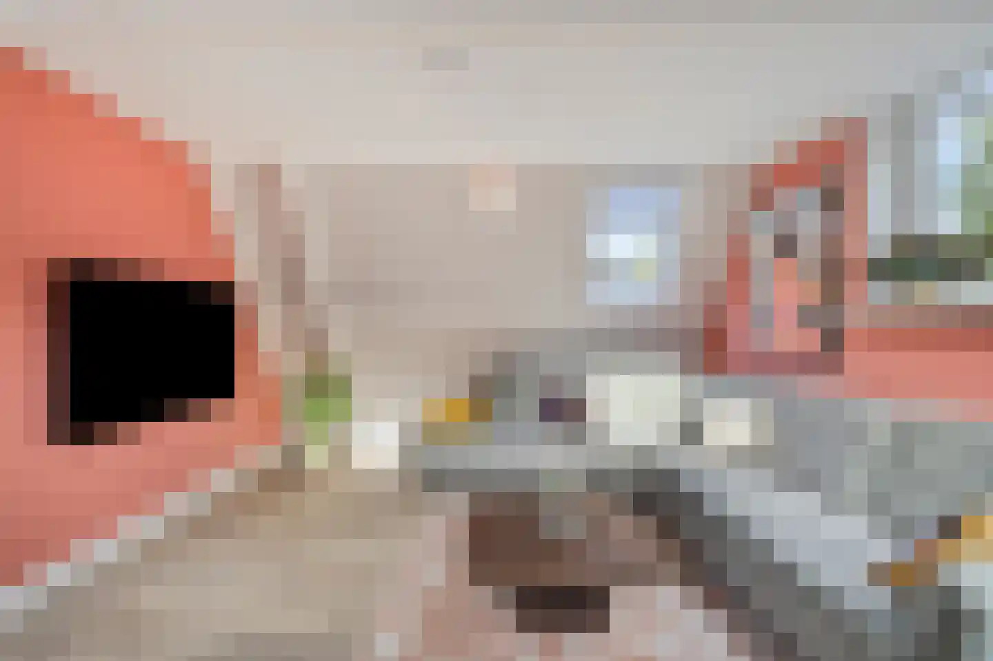 Gedempte Nieuwesloot 75 D Alkmaar thumbnail 13