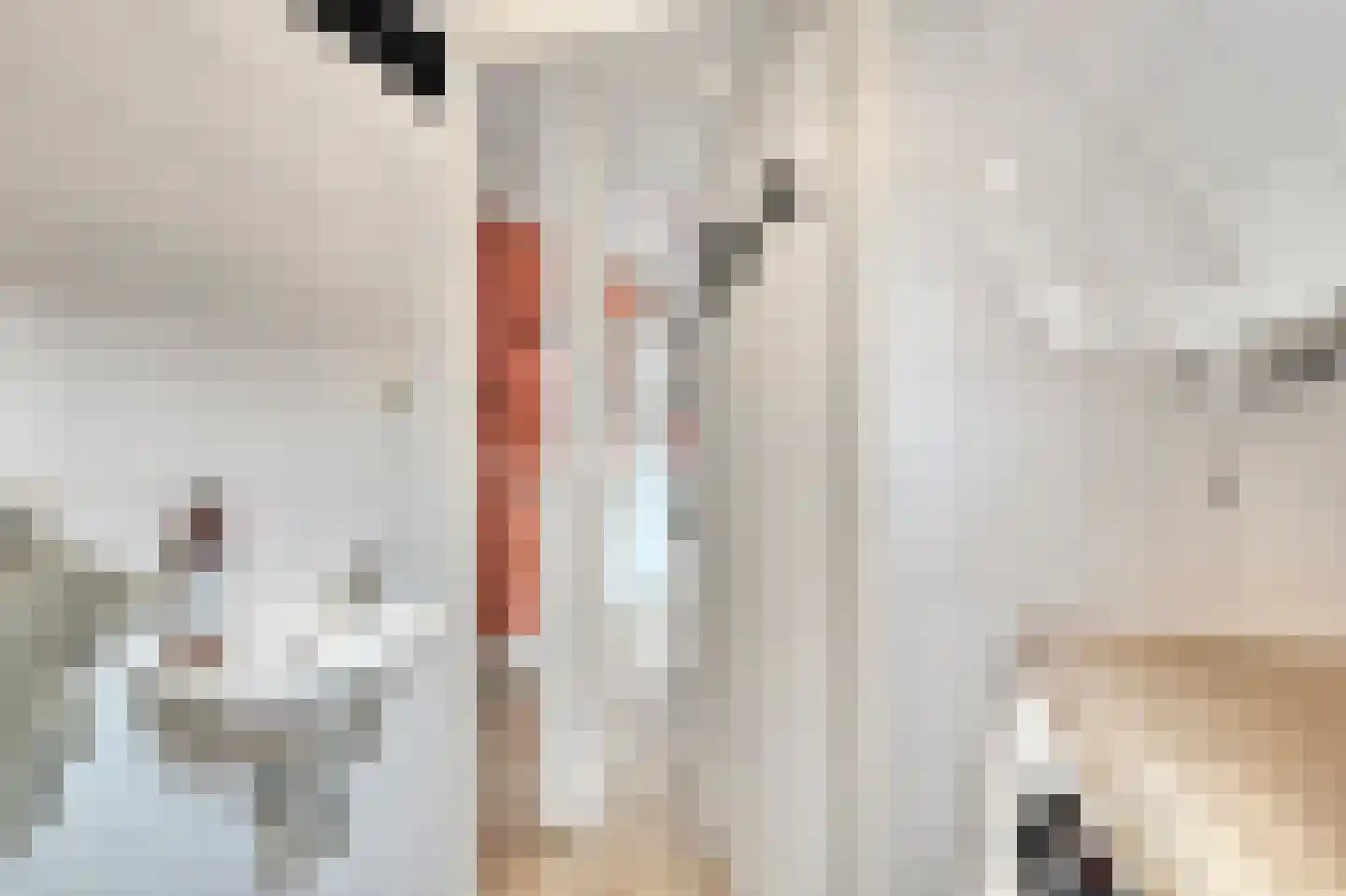 Gedempte Nieuwesloot 75 D Alkmaar thumbnail 16