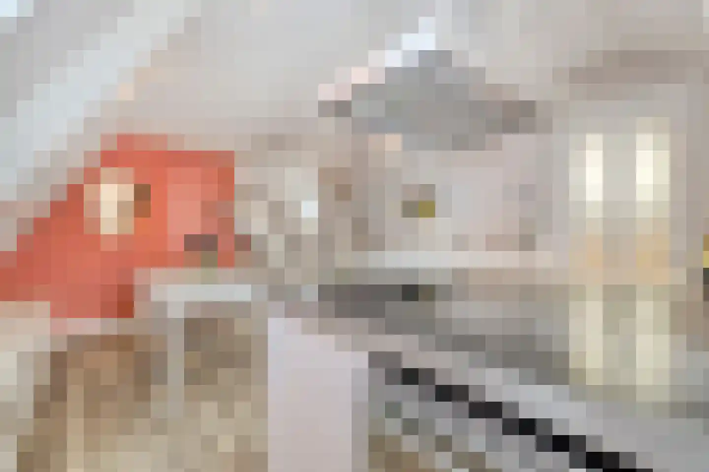 Gedempte Nieuwesloot 75 D Alkmaar thumbnail 20