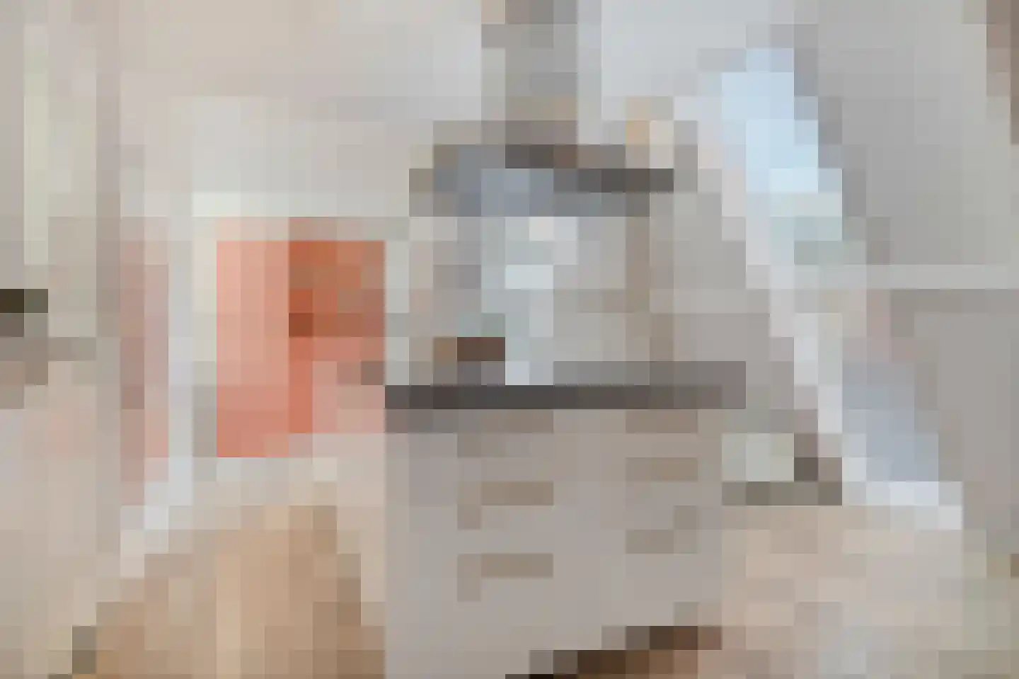 Gedempte Nieuwesloot 75 D Alkmaar thumbnail 21