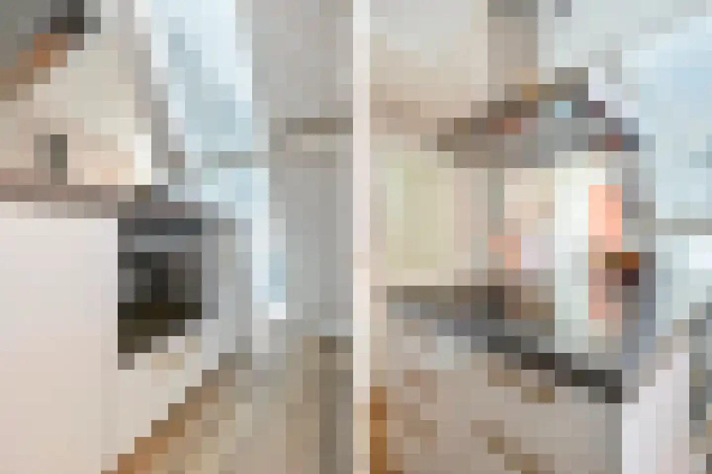Gedempte Nieuwesloot 75 D Alkmaar thumbnail 22