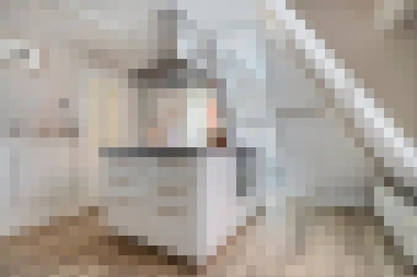Gedempte Nieuwesloot 75 D Alkmaar thumbnail 23