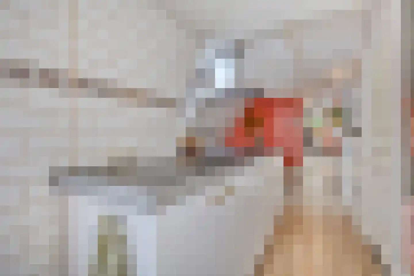 Gedempte Nieuwesloot 75 D Alkmaar thumbnail 25