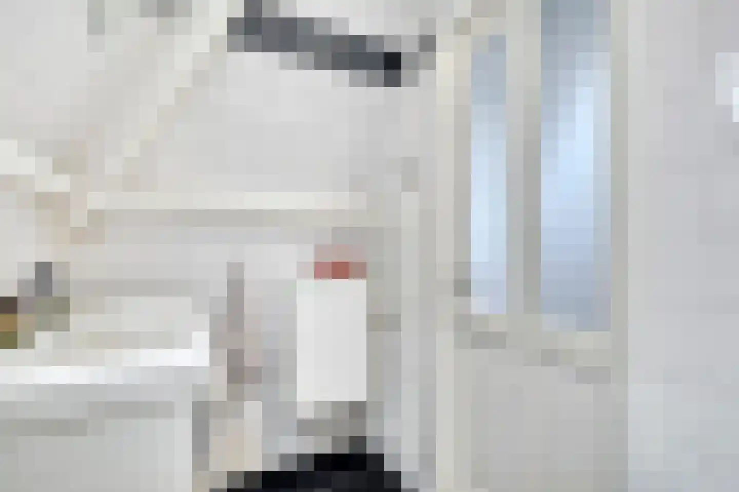 Gedempte Nieuwesloot 75 D Alkmaar thumbnail 30