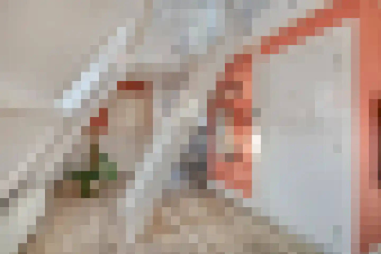 Gedempte Nieuwesloot 75 D Alkmaar thumbnail 31