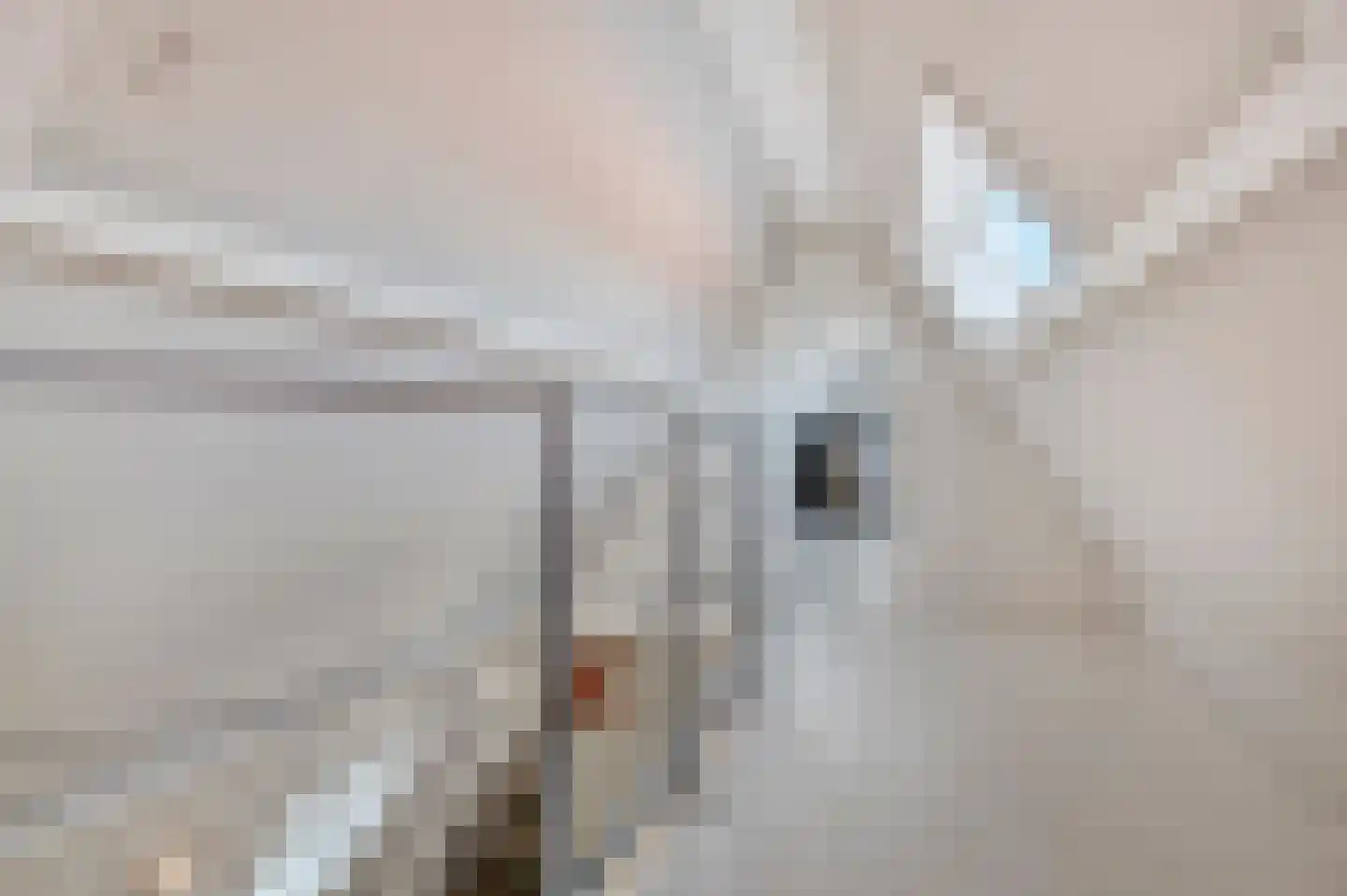 Gedempte Nieuwesloot 75 D Alkmaar thumbnail 32