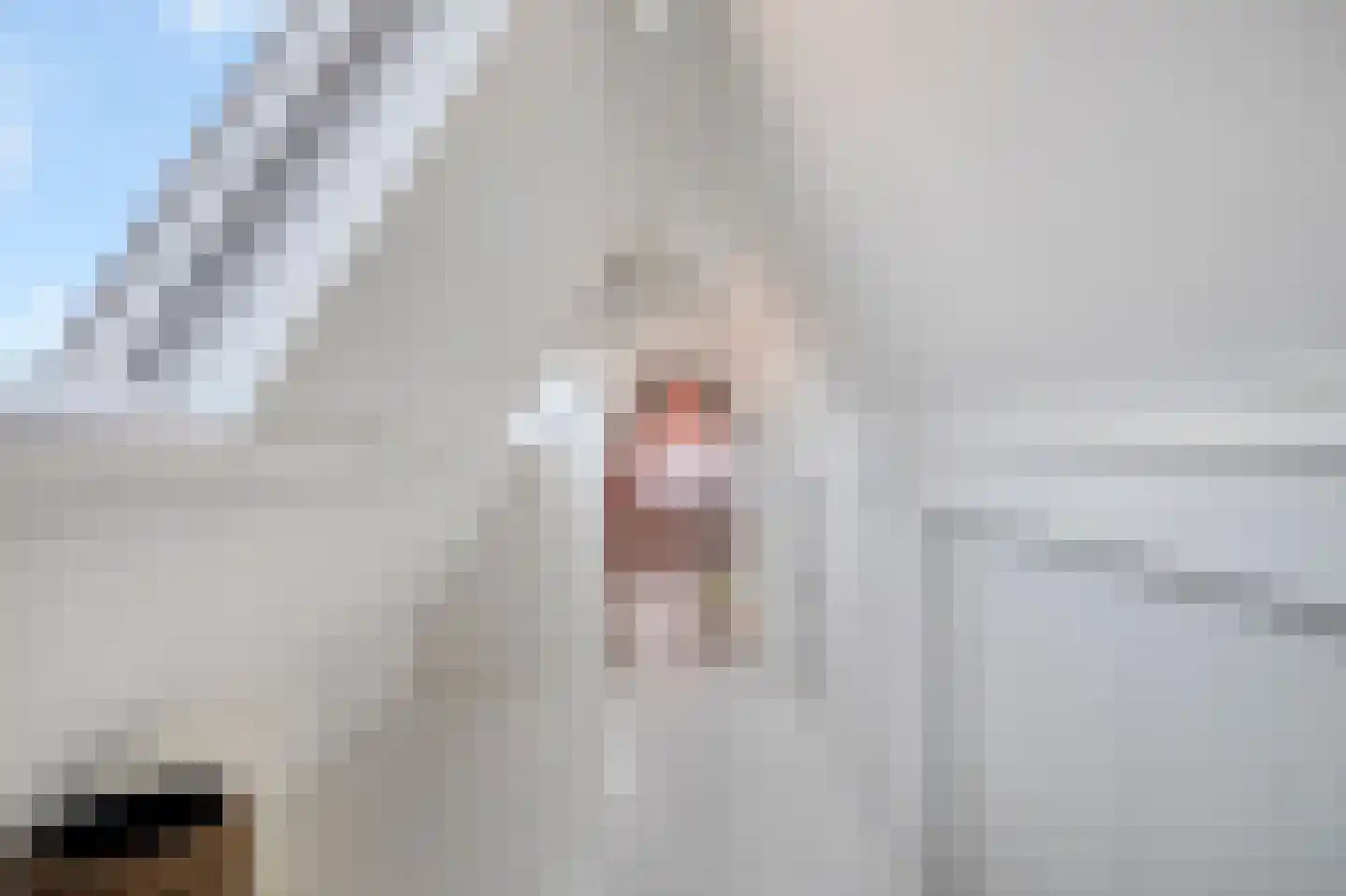 Gedempte Nieuwesloot 75 D Alkmaar thumbnail 36