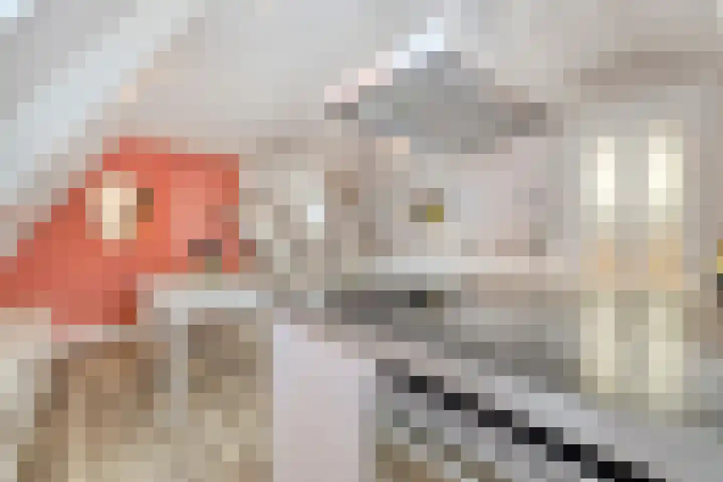 Gedempte Nieuwesloot 75 D Alkmaar thumbnail 4