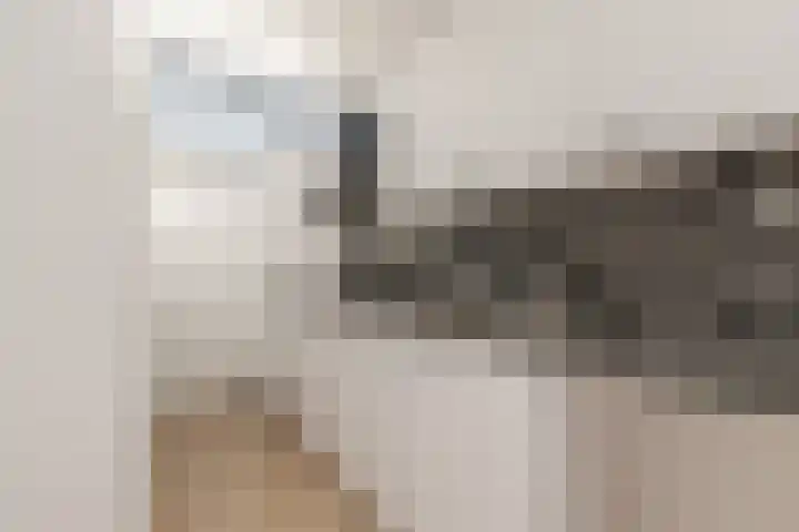 Gedempte Nieuwesloot 85 Alkmaar thumbnail 13