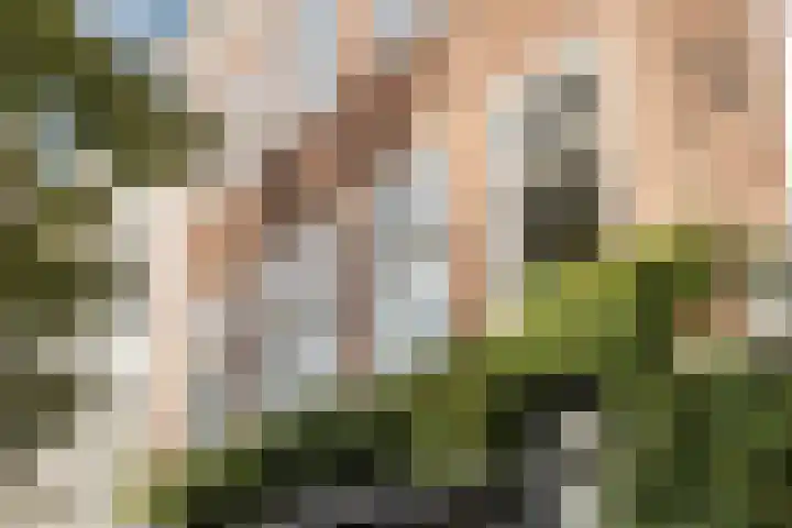 Gedempte Oude Gracht 101 B Haarlem thumbnail 24