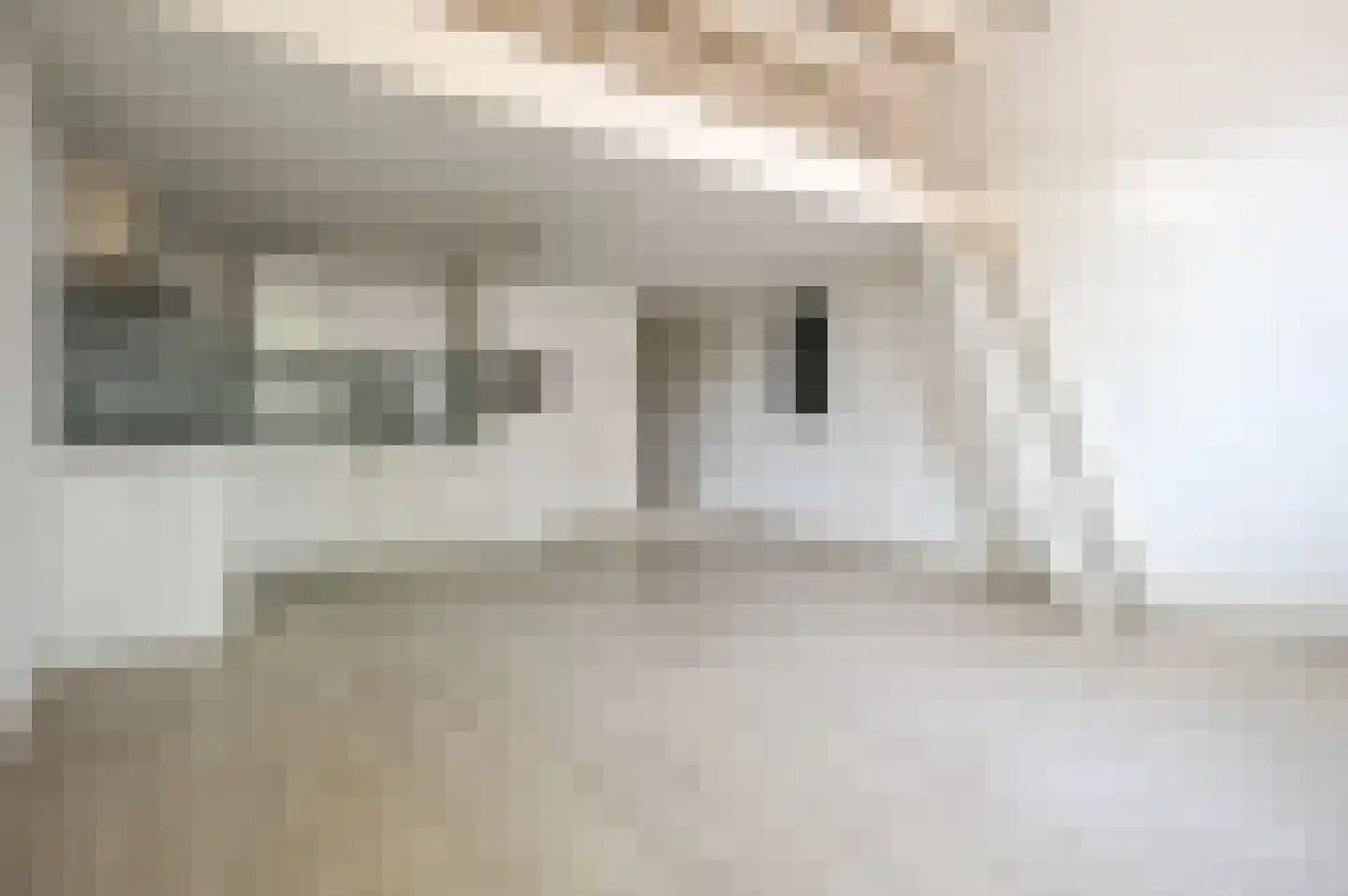 Gedempte Oude Gracht 120 A Haarlem thumbnail 9