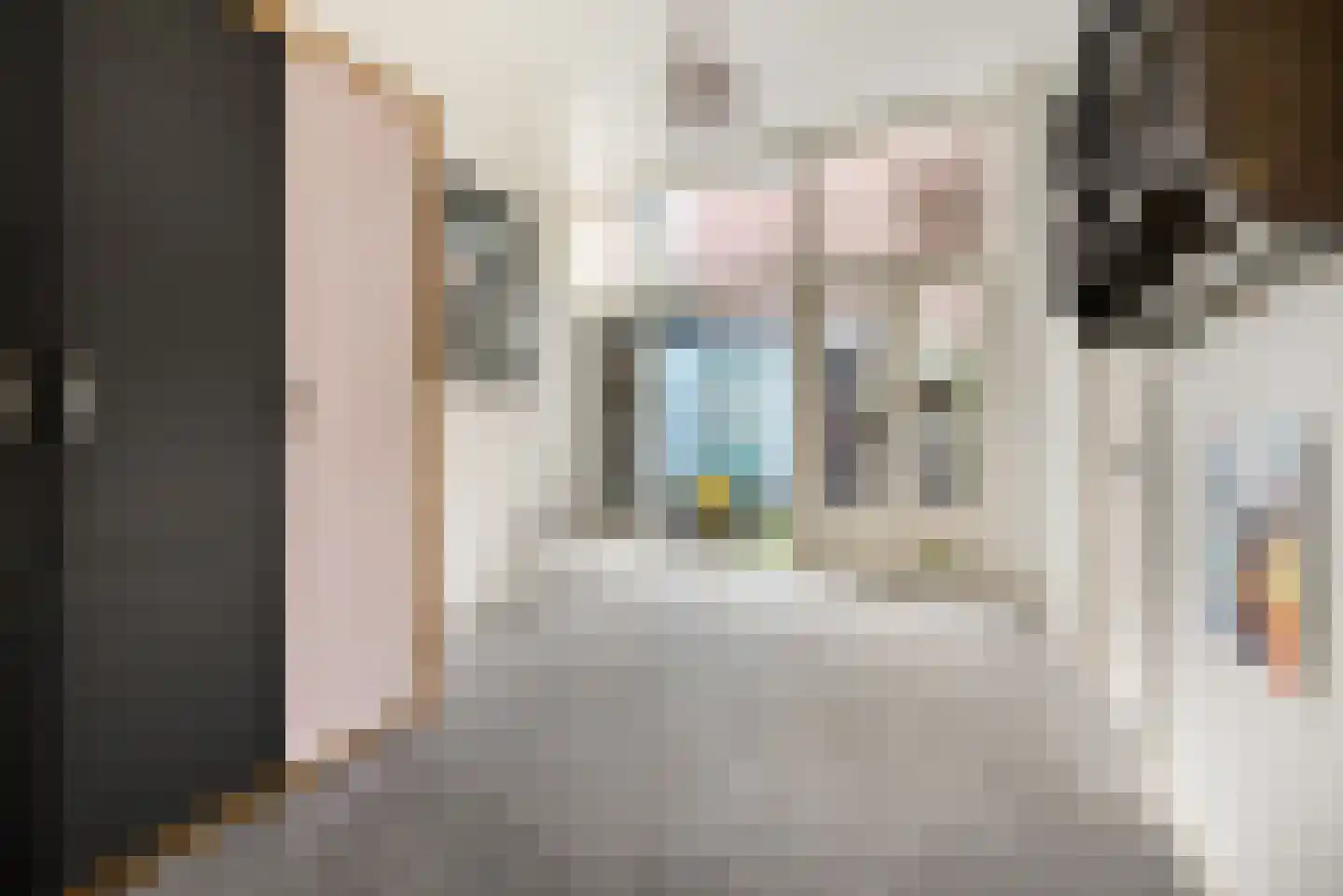 Gedempte Oude Gracht 130 Haarlem thumbnail 11