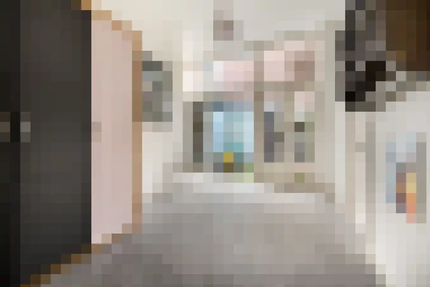 Gedempte Oude Gracht 130 Haarlem thumbnail 12