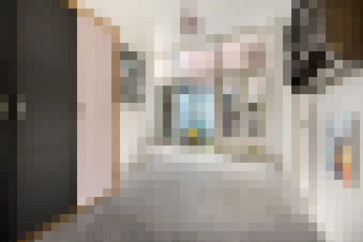 Gedempte Oude Gracht 130 Haarlem thumbnail 13