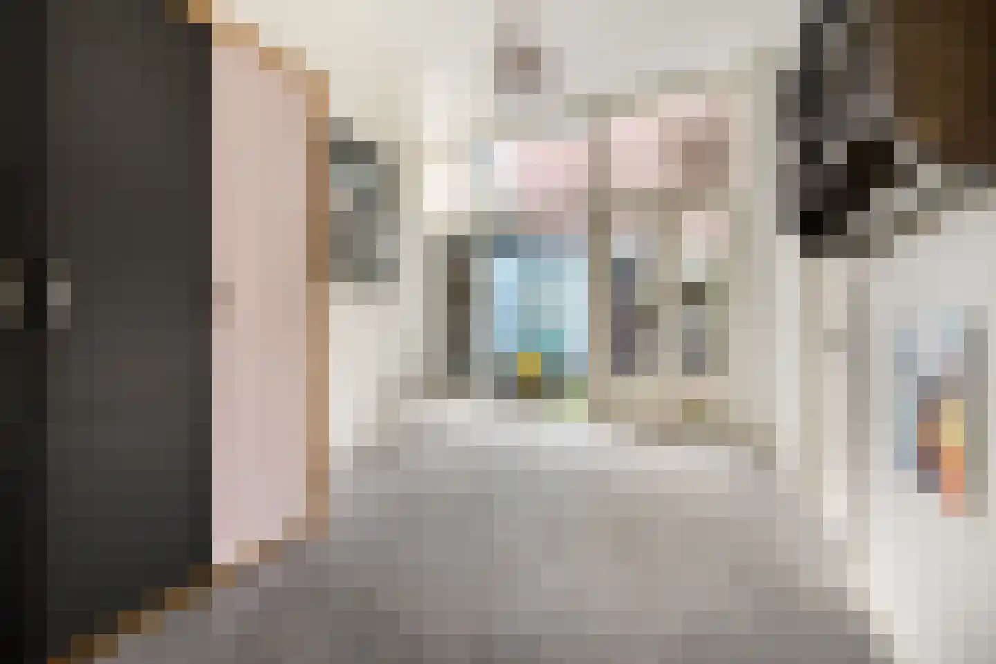 Gedempte Oude Gracht 130 Haarlem thumbnail 13