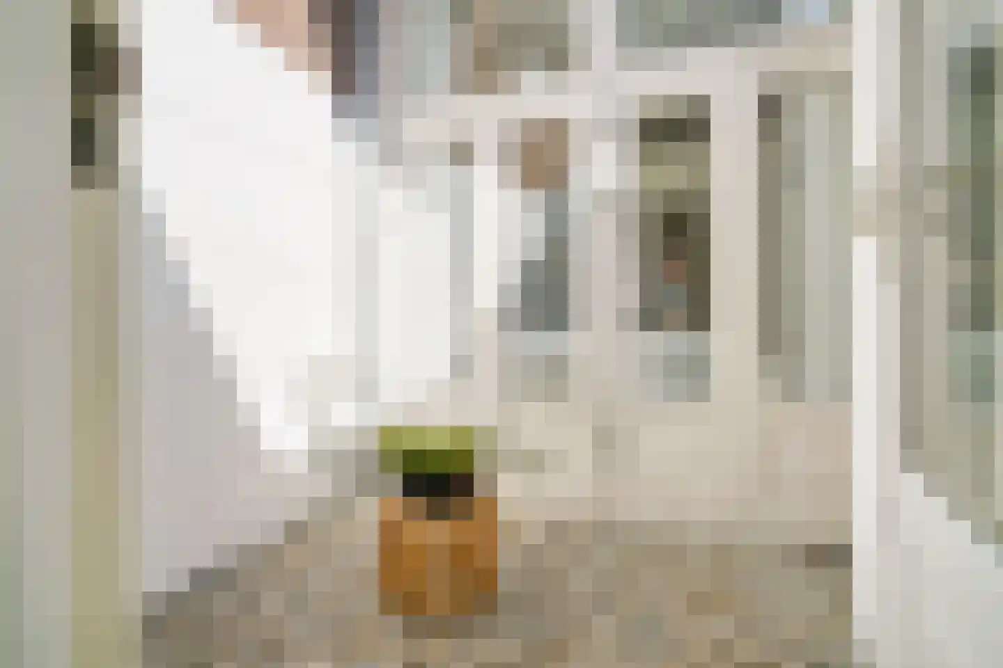 Gedempte Oude Gracht 150 Haarlem thumbnail 18