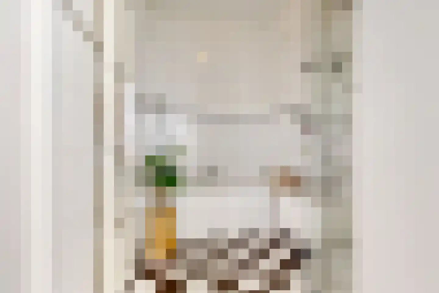 Gedempte Oude Gracht 150 Haarlem thumbnail 26