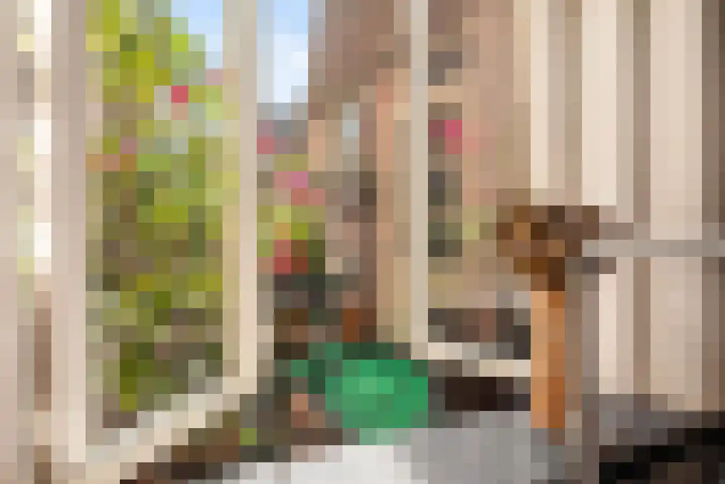 Gedempte Oude Gracht 3 Haarlem thumbnail 21
