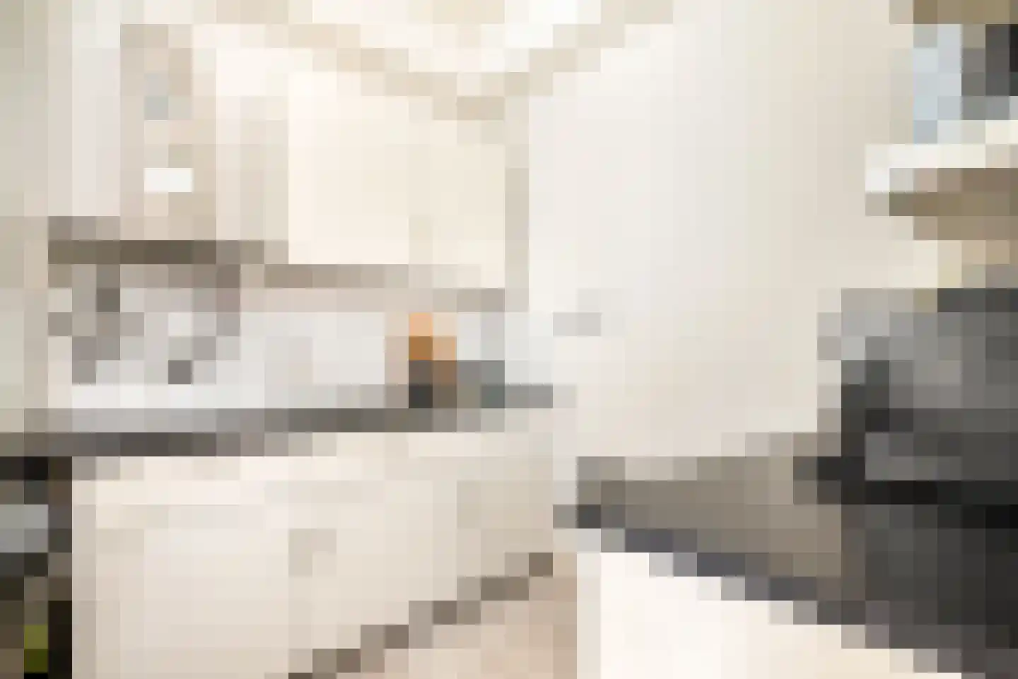 Gedempte Oude Gracht 3 Haarlem thumbnail 30