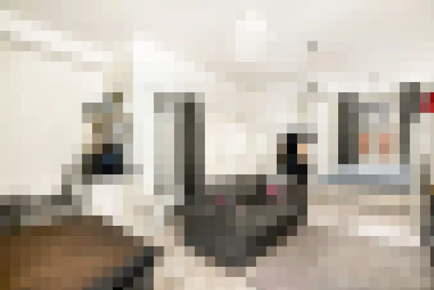 Gedempte Oude Gracht 3 Haarlem thumbnail 31