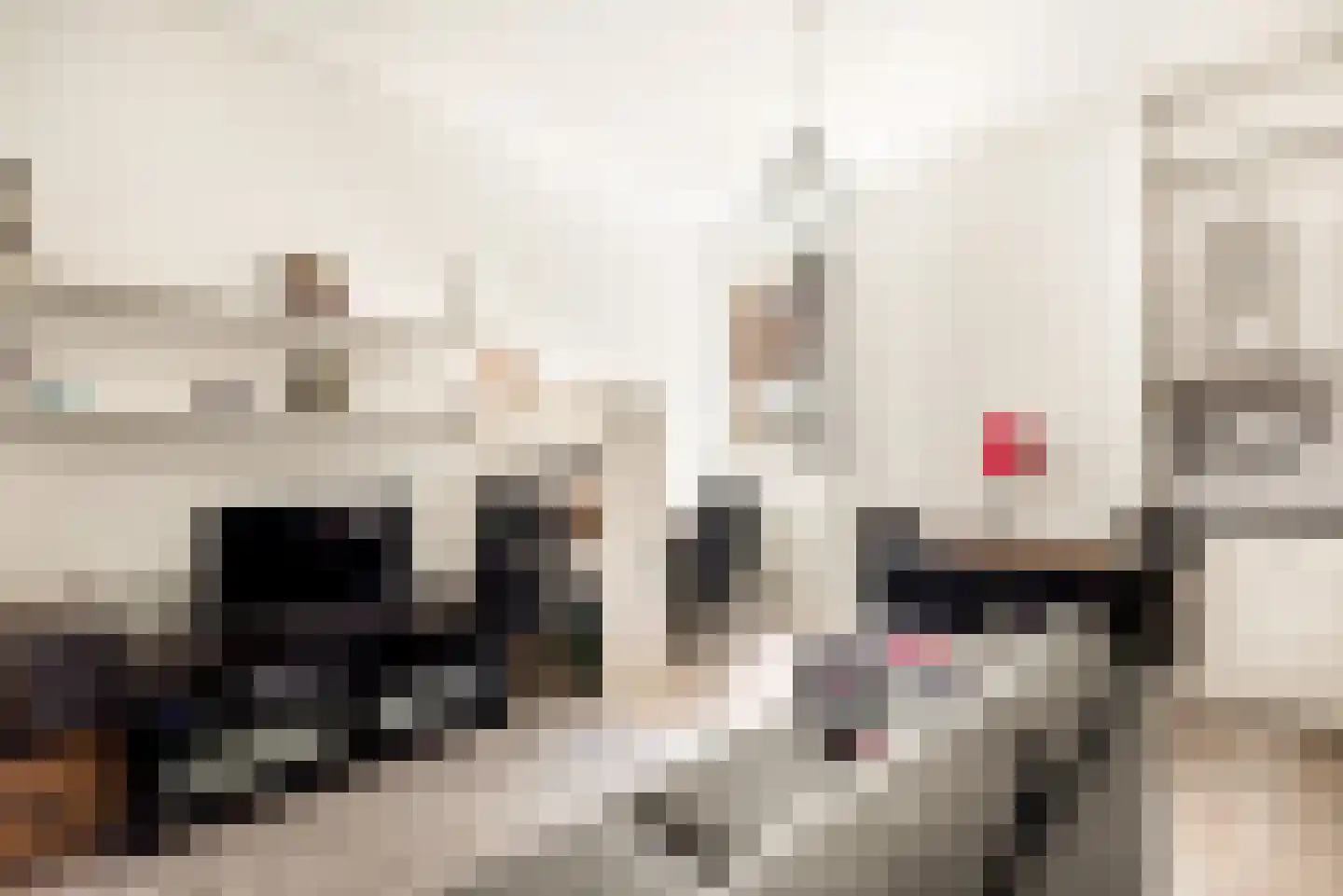 Gedempte Oude Gracht 3 Haarlem thumbnail 33