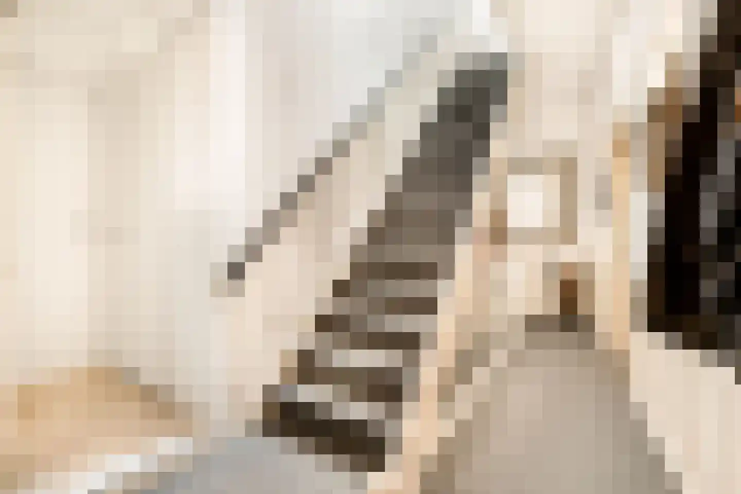 Gedempte Oude Gracht 3 Haarlem thumbnail 37
