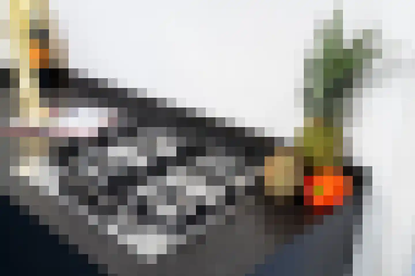 Gedempte Oude Gracht 50 A Haarlem thumbnail 18