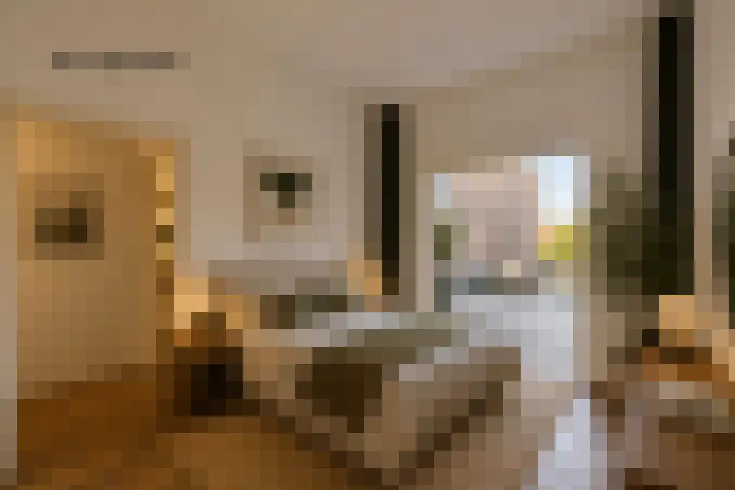 Gedempte Oude Gracht 72 A Haarlem thumbnail 18