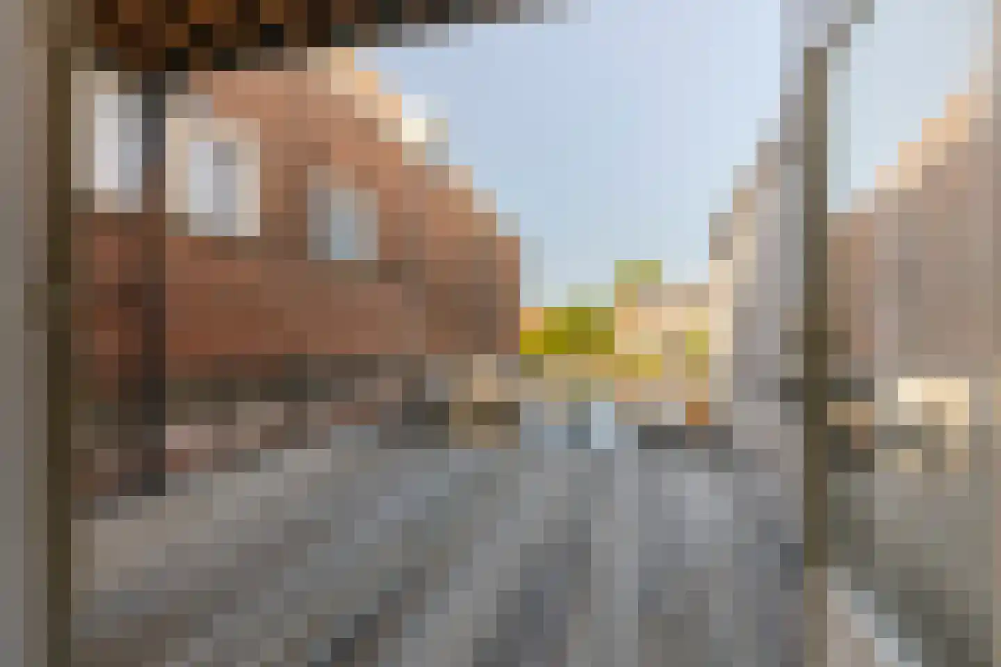 Gedempte Oude Gracht 72 A Haarlem thumbnail 21