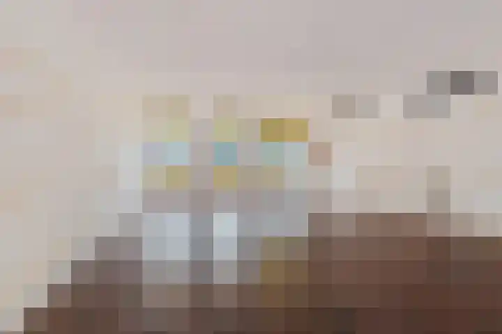 Gedempte Pol 11 Sneek thumbnail 11