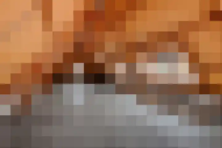 Gedempte Pol 11 Sneek thumbnail 21
