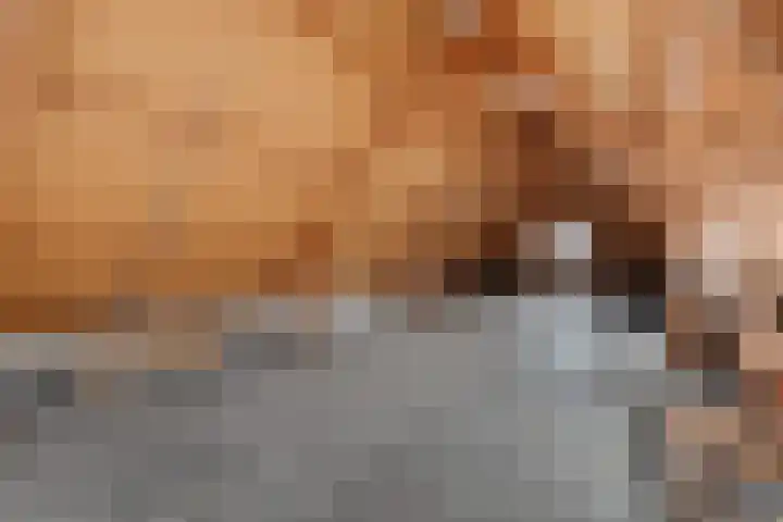 Gedempte Pol 11 Sneek thumbnail 22