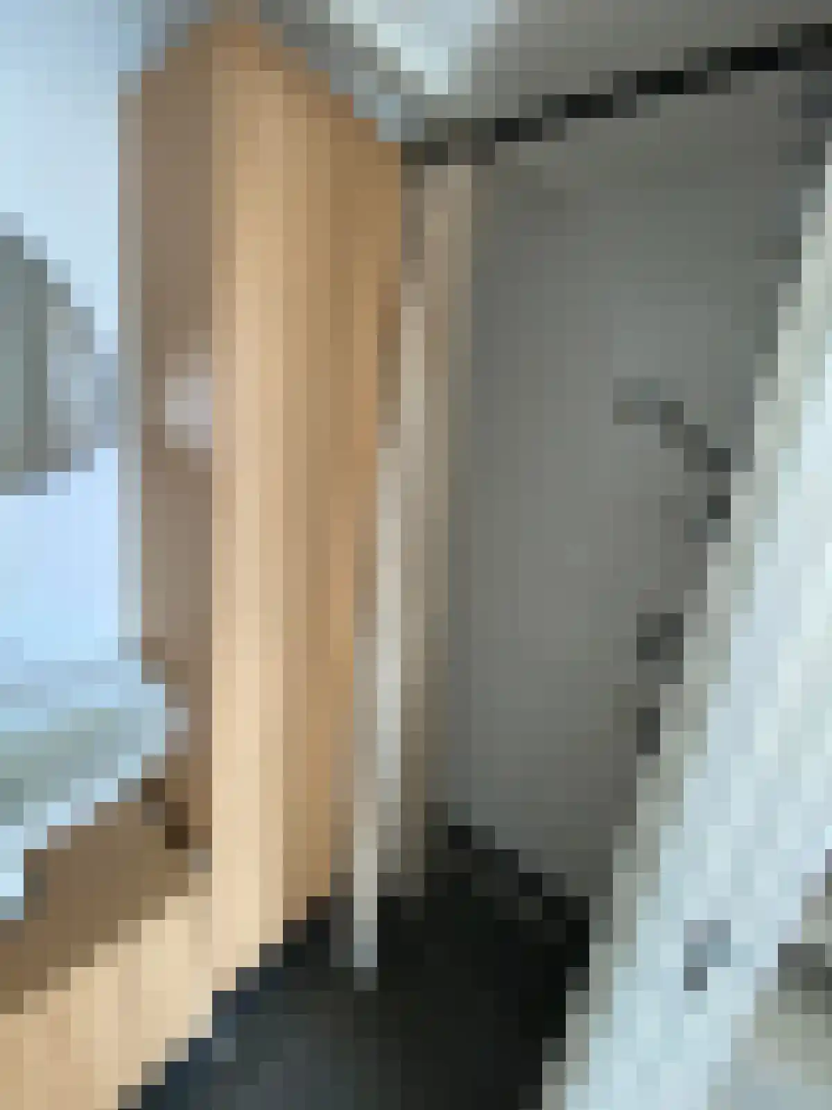 Gedempte Pol 26 D Sneek thumbnail 5