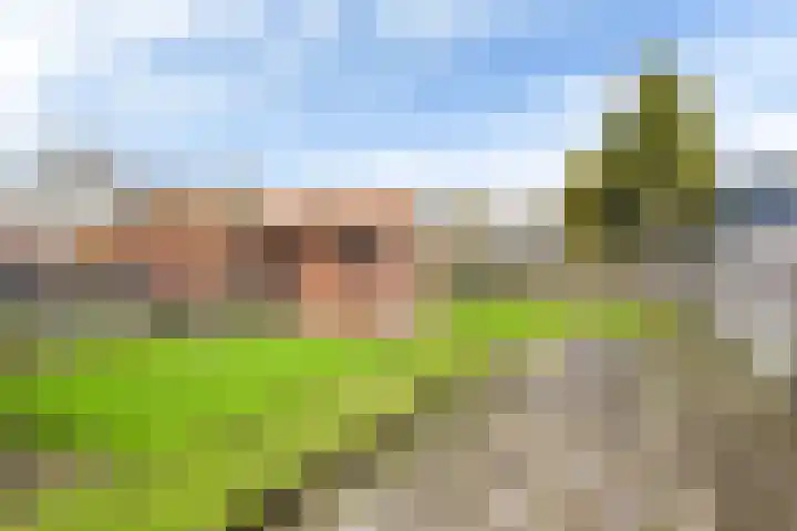 Gedempte Putten 16 Makkum thumbnail 17