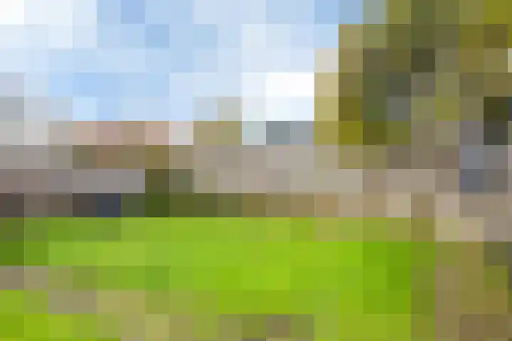 Gedempte Putten 16 Makkum thumbnail 18