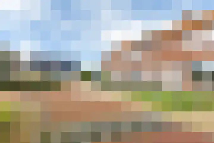 Gedempte Putten 16 Makkum thumbnail 5