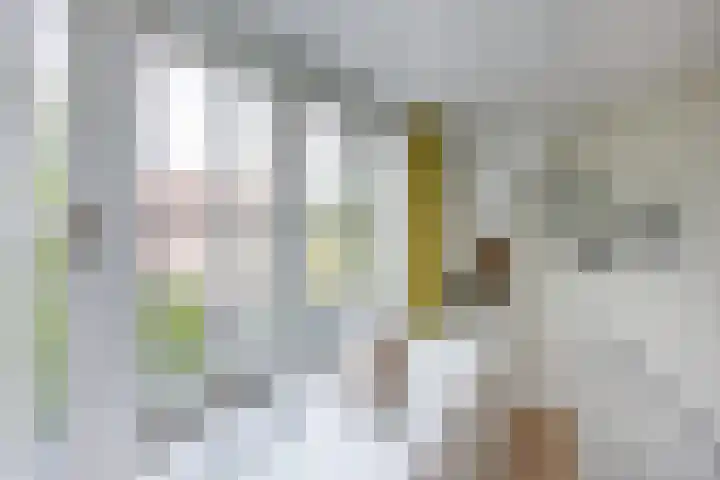 Gedempte Raamgracht 11 A Haarlem thumbnail 30