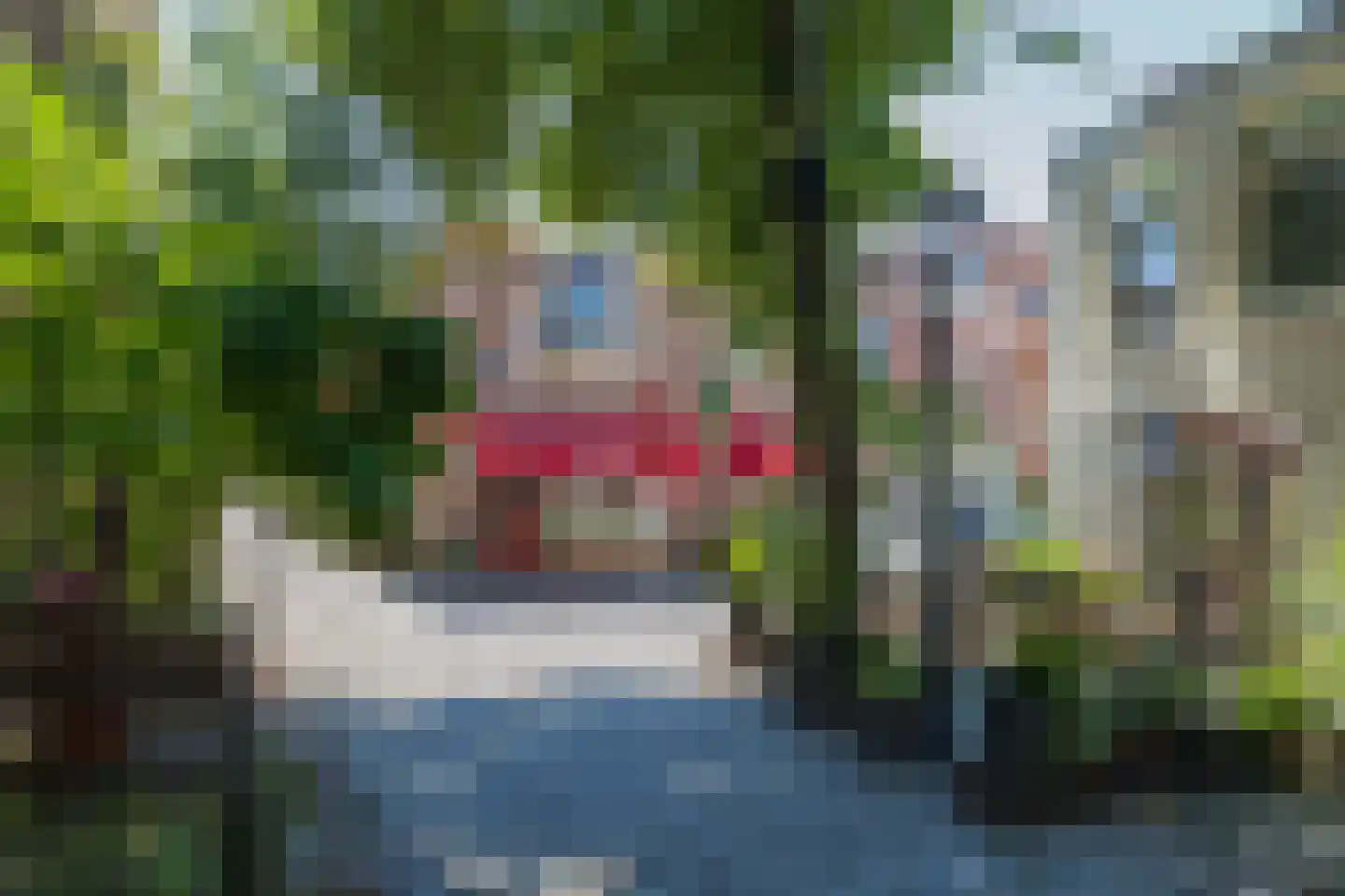 Gedempte Raamgracht 11 Haarlem thumbnail 18