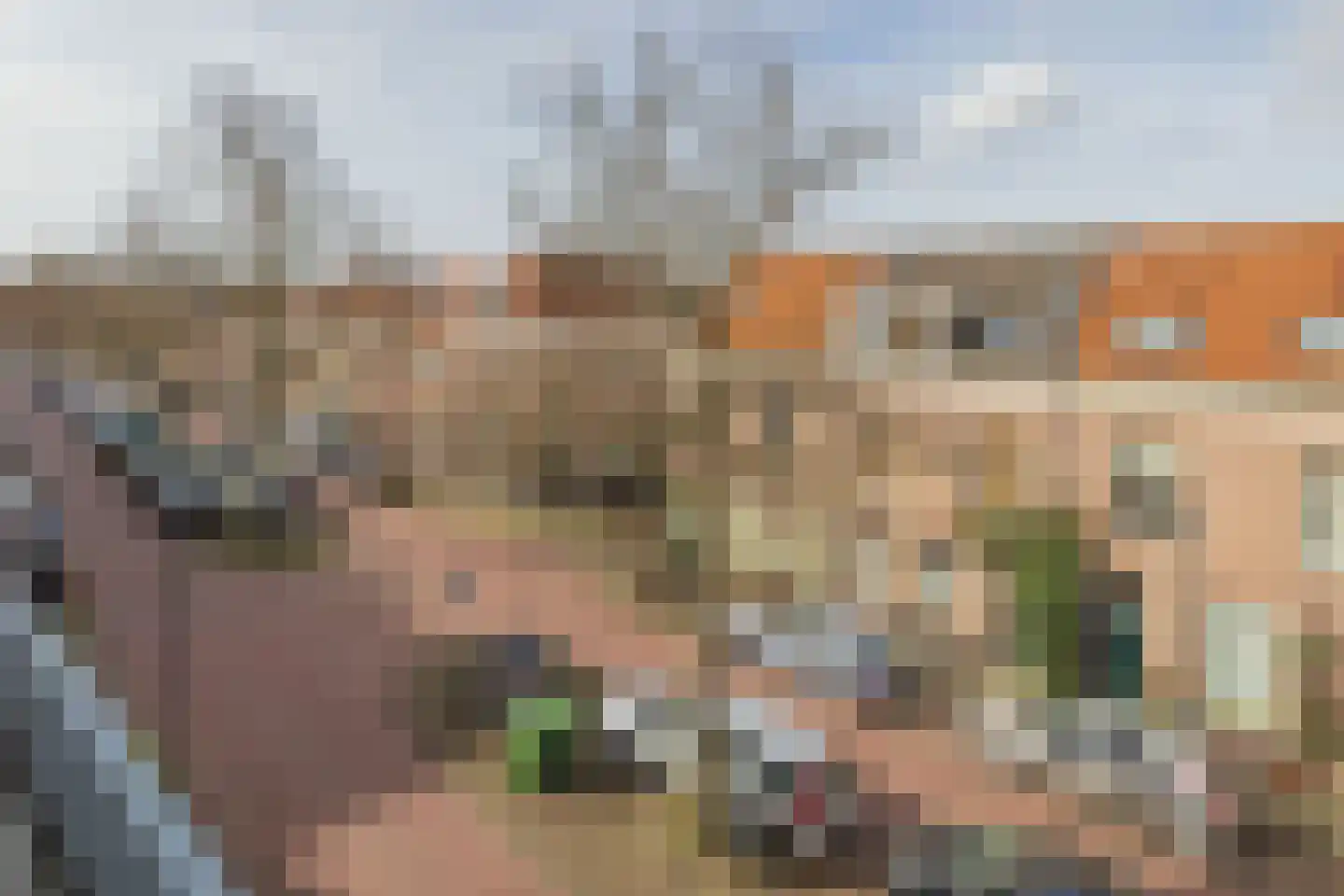 Gedempte Raamgracht 11 Haarlem thumbnail 9