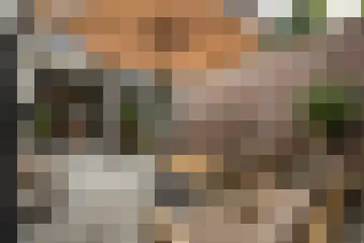 Gedempte Raamgracht 59 Haarlem thumbnail 14