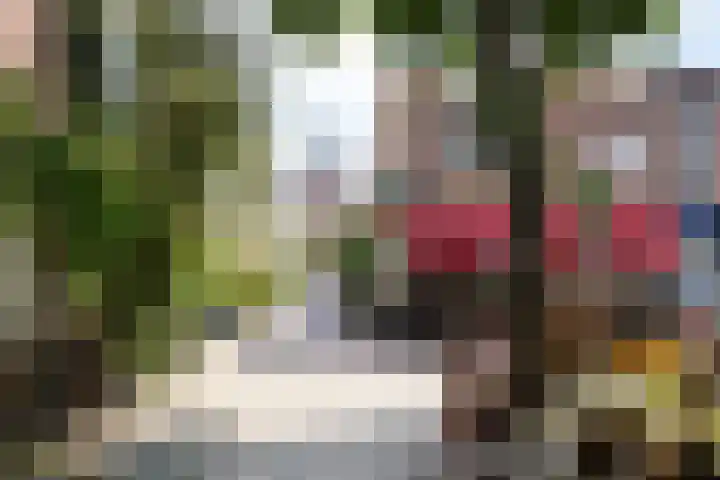 Gedempte Raamgracht 59 Haarlem thumbnail 34